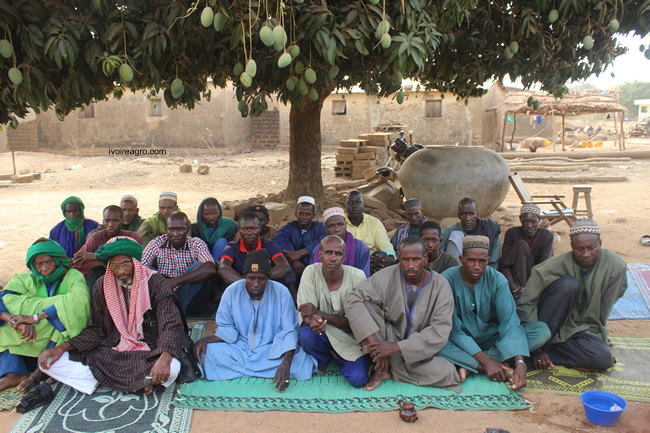 06/03/17  Filire bovine : le prsident Toe en tourne dinformation et de sensibilisation des leveurs  Thni et Bouna 